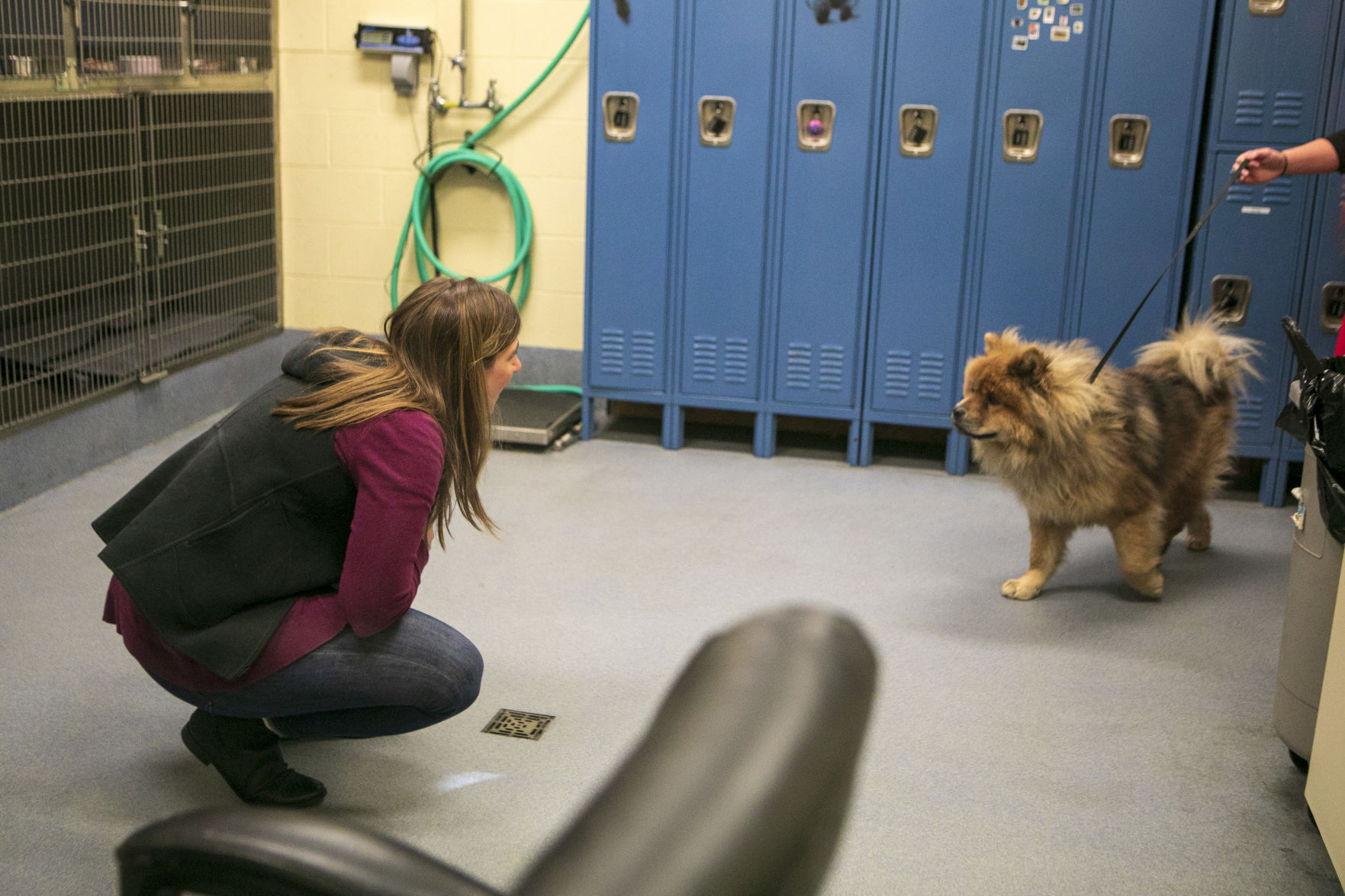 Leo the dog reunion